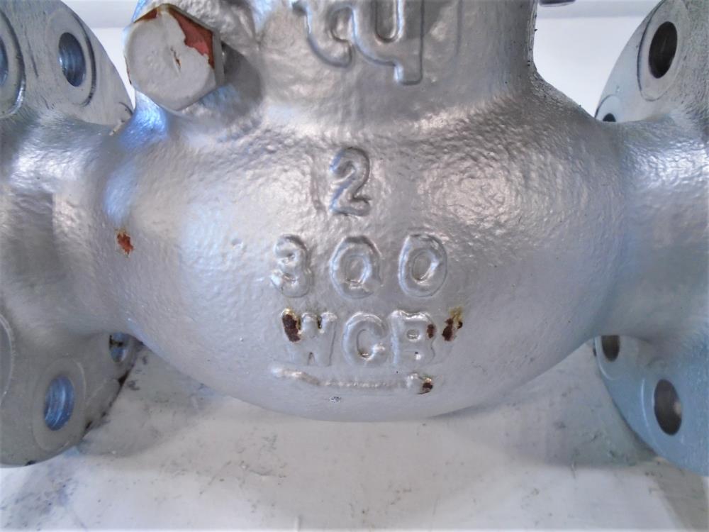 TY 2" 300# WCB Swing Check Valve 253RF008